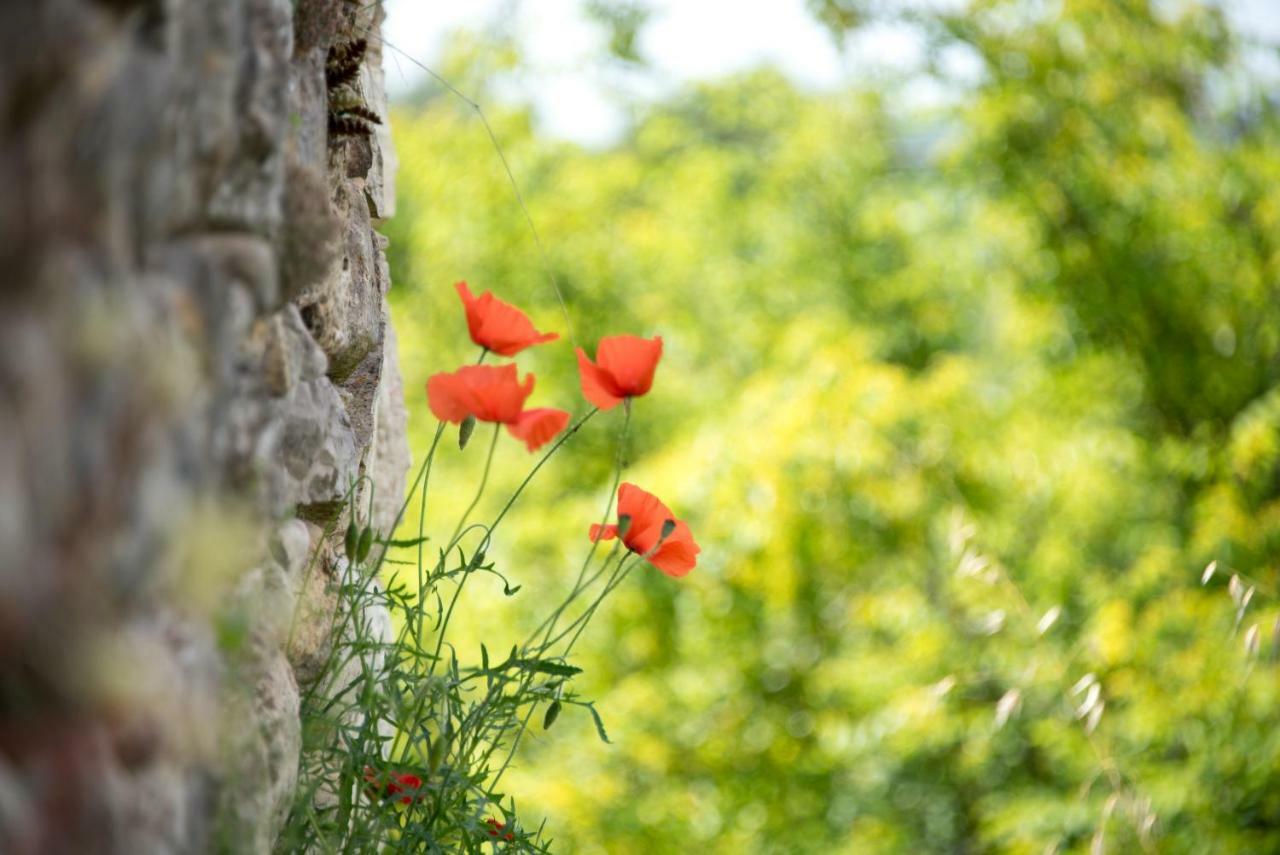 Bed and Breakfast Le Mas Des Romarins Fayence Exterior foto